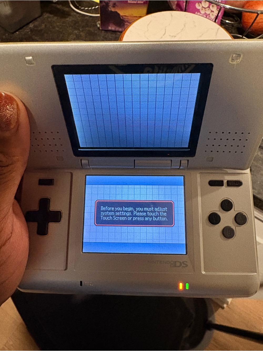 Nintendo DS & Case